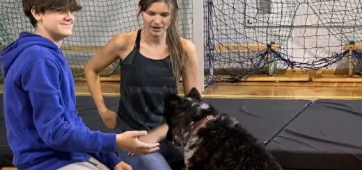 Światowy Dzień Zwierząt w MOS Nr 7 Światowy Dzień Zwierząt w MOS Nr 7